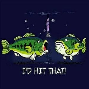 Meet your Posher, Bobbie